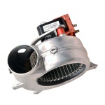 r10020793-1